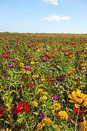 育碧《XDefiant》PC版发售时将是Connect独占